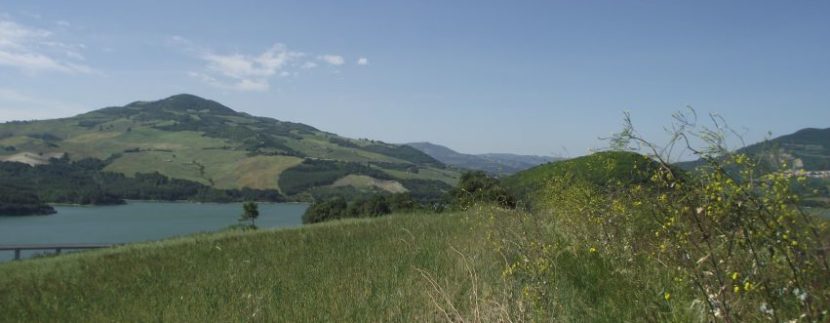 land overlooking the lake